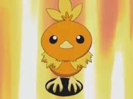Torchic thumbnail