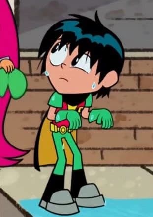 Robin thumbnail