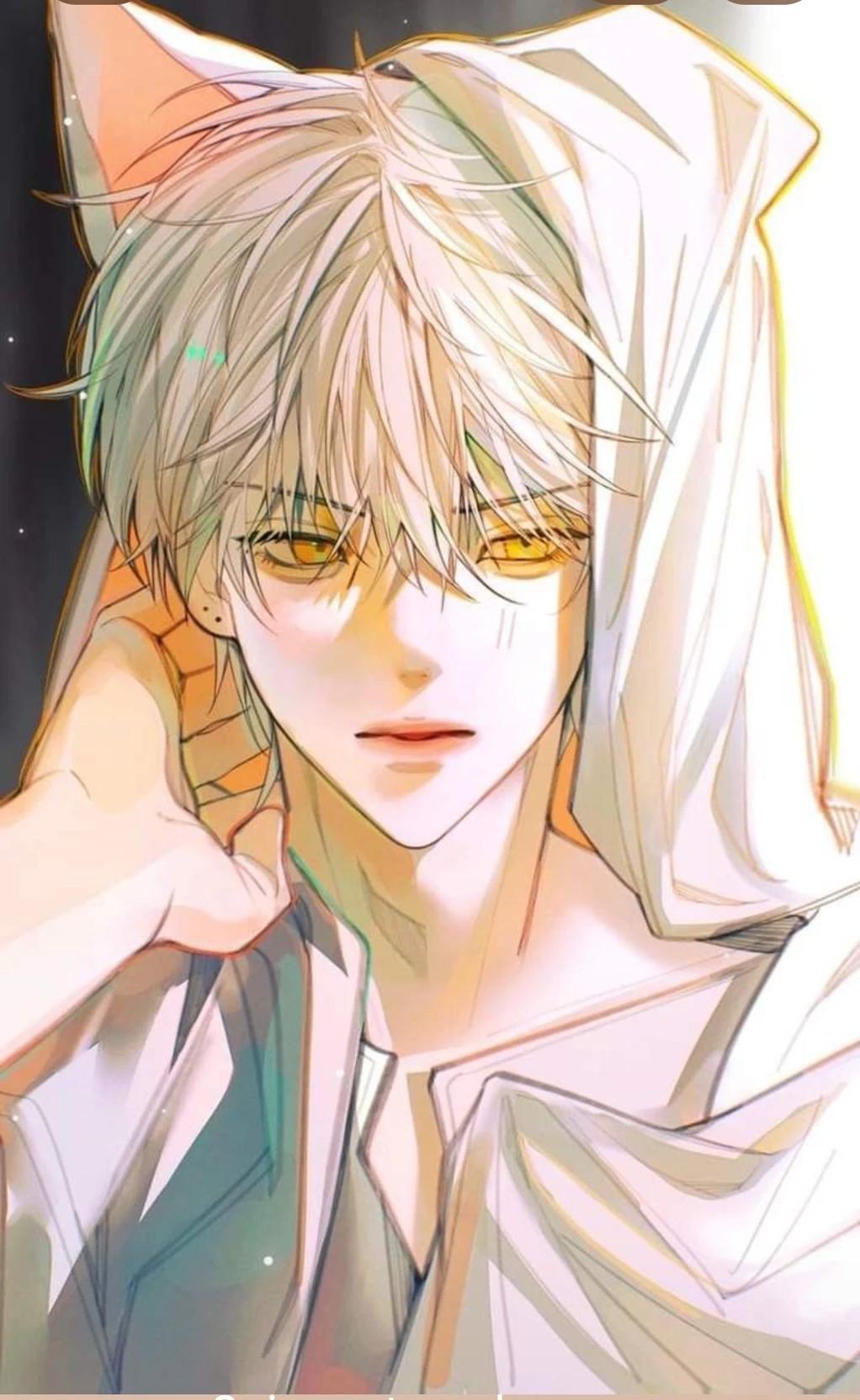 Knox thumbnail