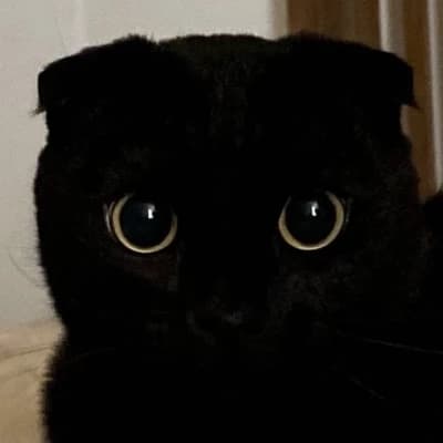 Your cat Piwwy thumbnail