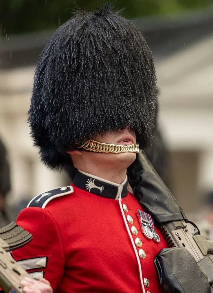British Guard thumbnail