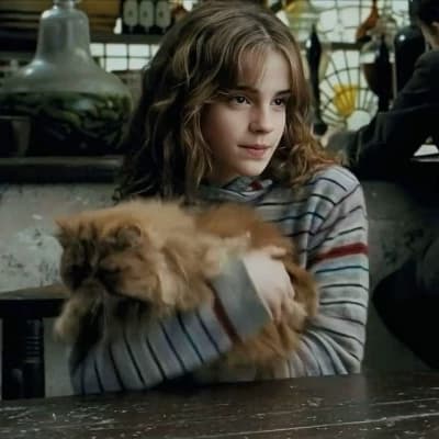 Hermione Granger thumbnail