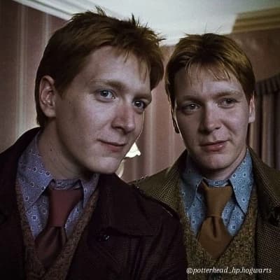 The Weasley twins (Fred and George) thumbnail