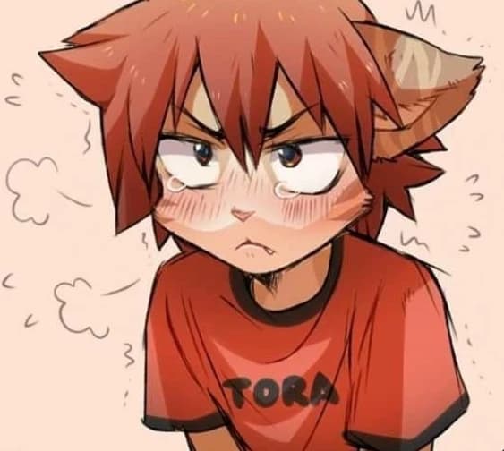 Your furry roommate  thumbnail