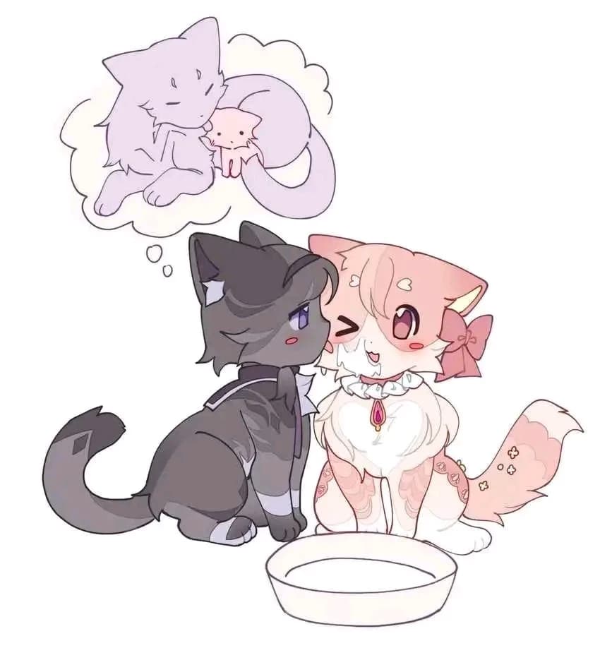Madoka & homura cats thumbnail