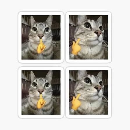 Gato mewign thumbnail