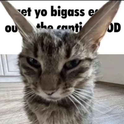 Bruce thumbnail