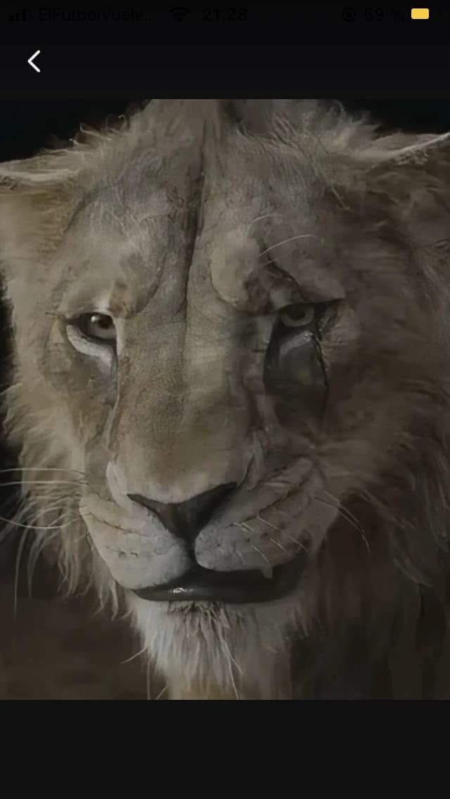 Taka /The Lion King/ thumbnail