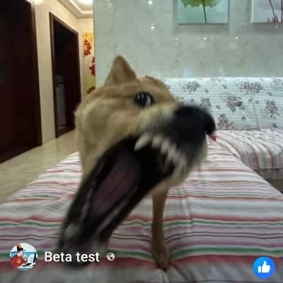 Buster thumbnail