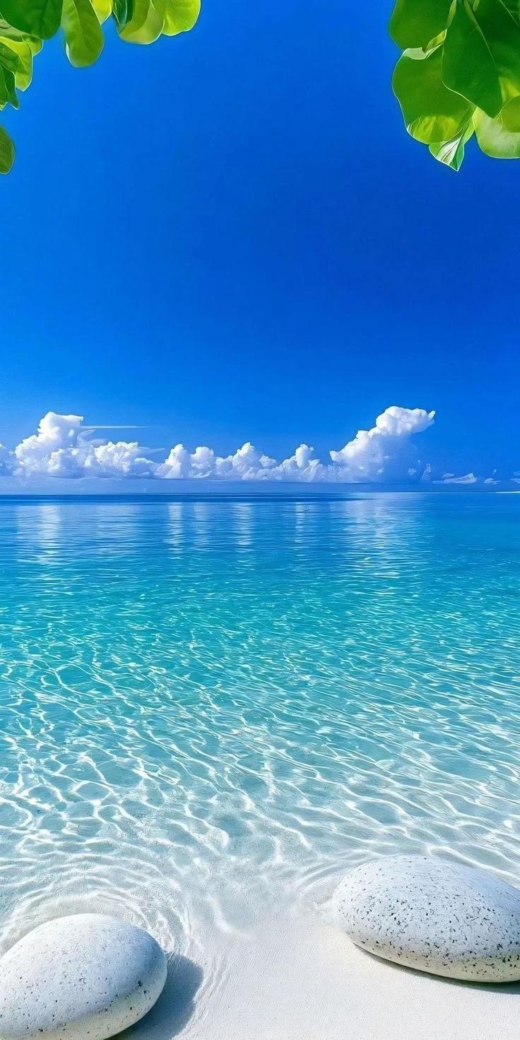 Beach life thumbnail