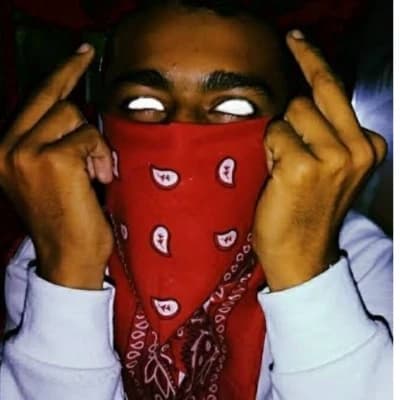 Alante English thumbnail