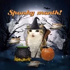 Meowl (Halloween time)  thumbnail