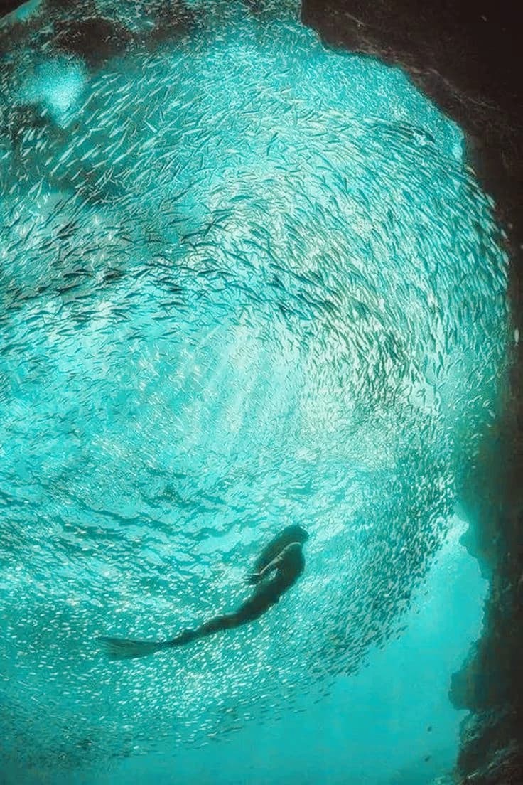Mermaid world thumbnail