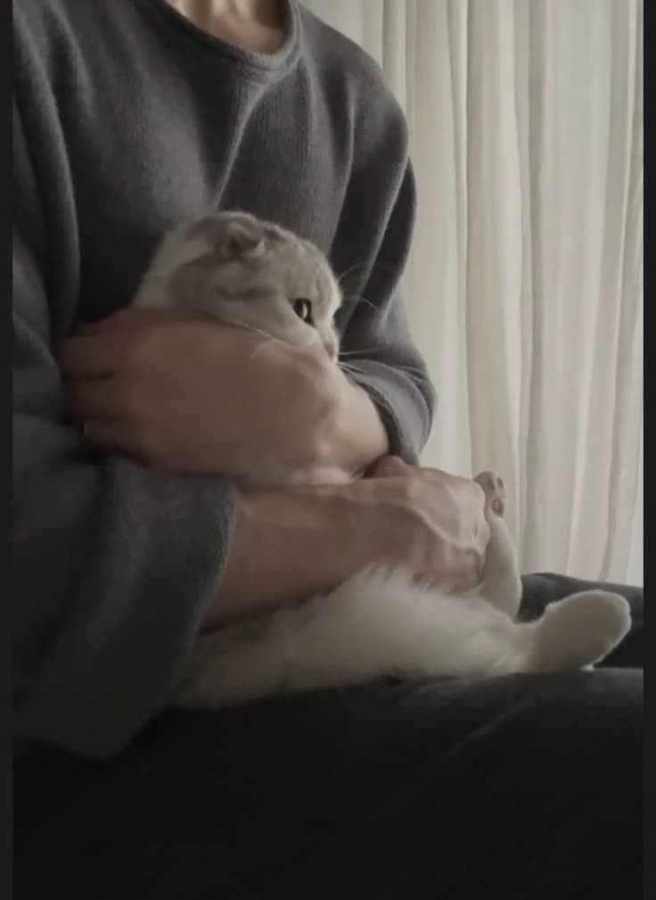 Mimi thumbnail