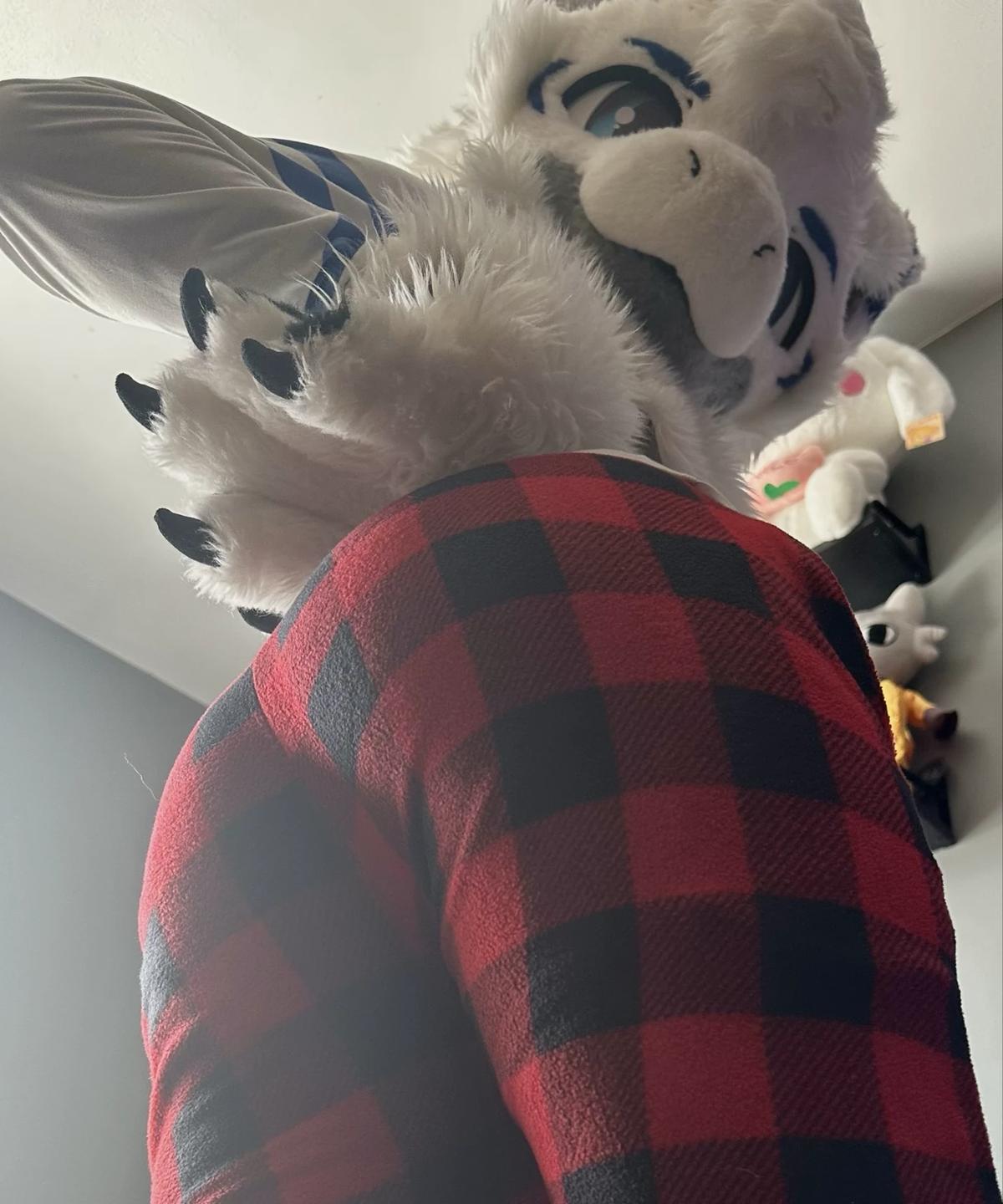 Lyra •| Furry Girl |• thumbnail
