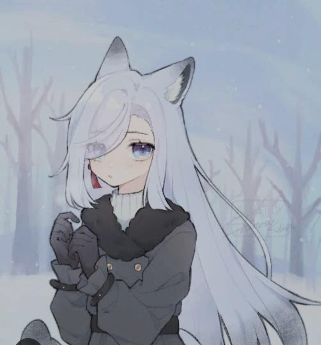 Yuki (arctic fox hybrid) thumbnail