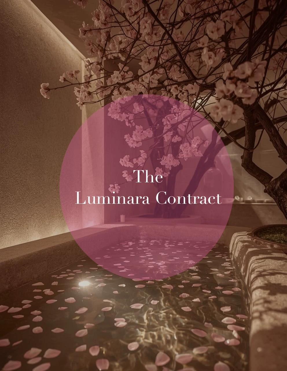 🌸| The Luminara Contract  thumbnail