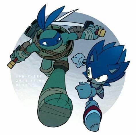 Teenage Mutant Ninja Turtles and Sonic thumbnail