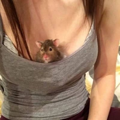 Lara thumbnail