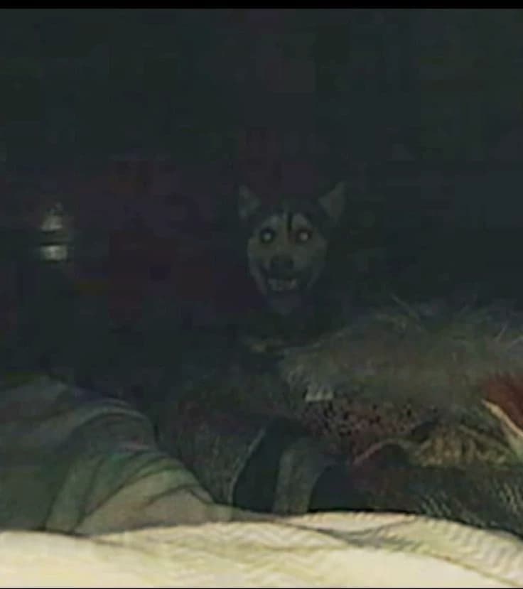 Skinwalker - there's something wrong thumbnail
