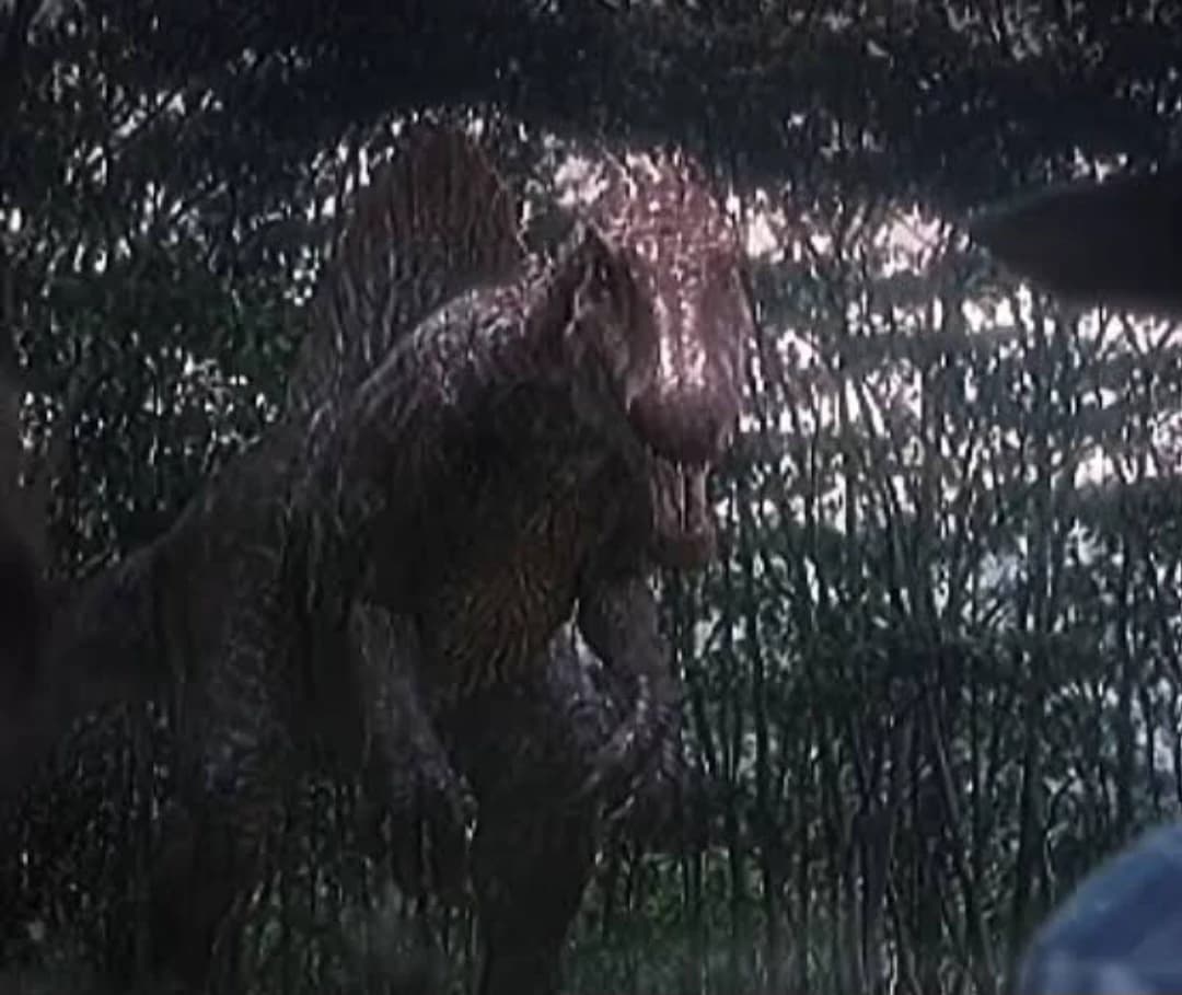 You're a spinosaurus thumbnail