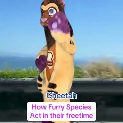 Furry convention thumbnail