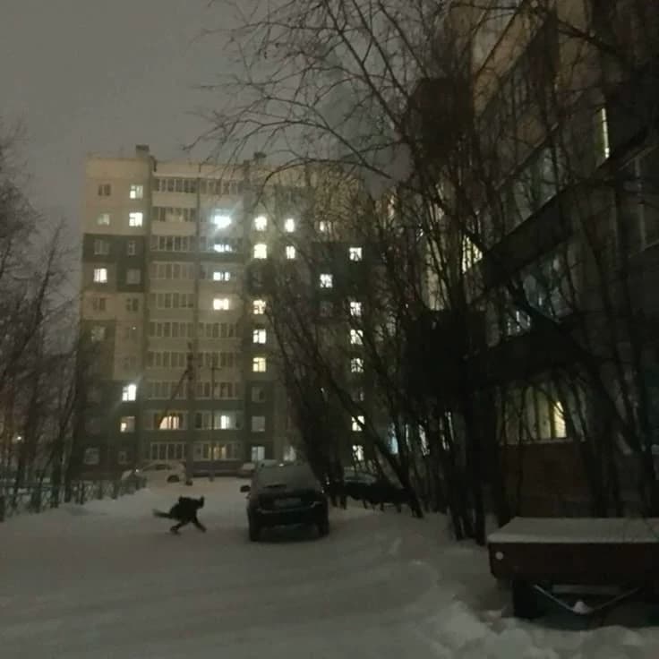 Russia~🇷🇺 thumbnail