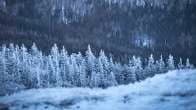 Setting: snowy world thumbnail