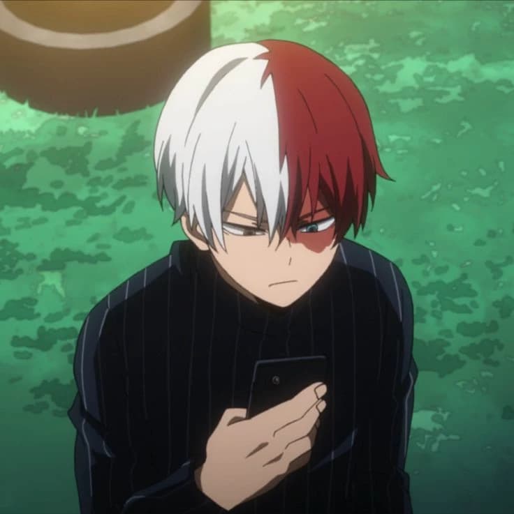 shoto todoroki thumbnail