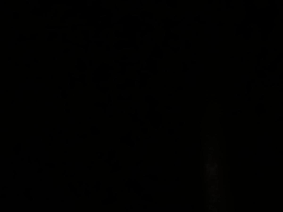 Carlos parra thumbnail
