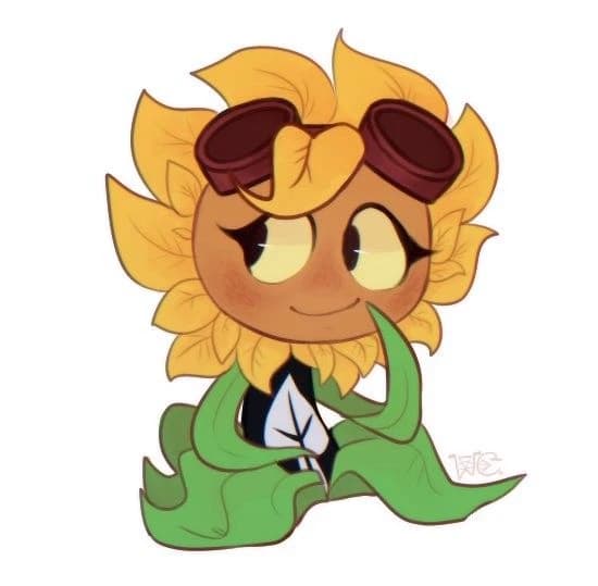 Destello solar thumbnail