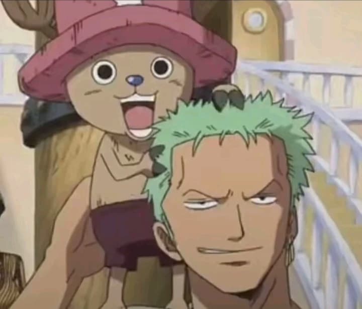 Zoro and Chopper thumbnail