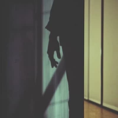 The Night Stalker thumbnail