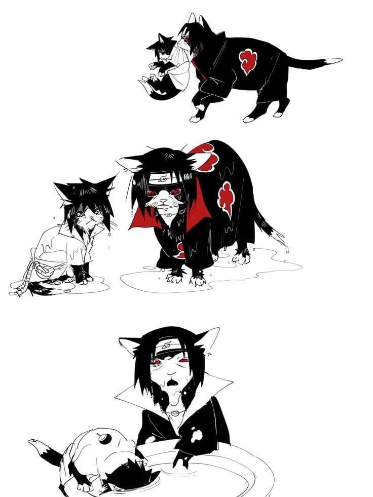 Sasuke y Itachi (gatos) thumbnail
