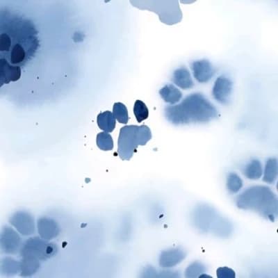 Beastars thumbnail