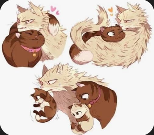 katsuki bokugo thumbnail