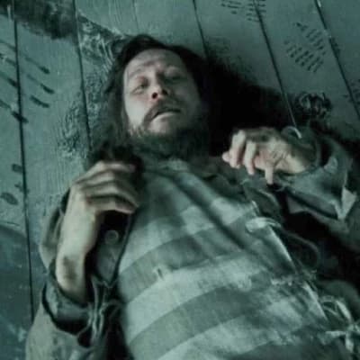 Sirius Black (Azkaban Escapee) thumbnail