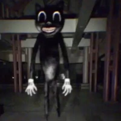 cardboard cat thumbnail