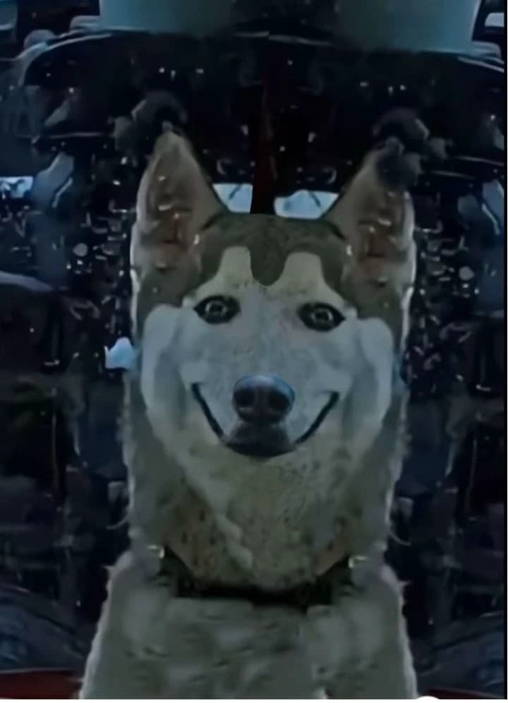 Smile Dog thumbnail