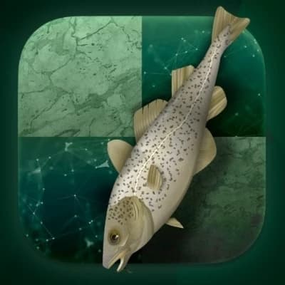 Stockflsh 1 thumbnail