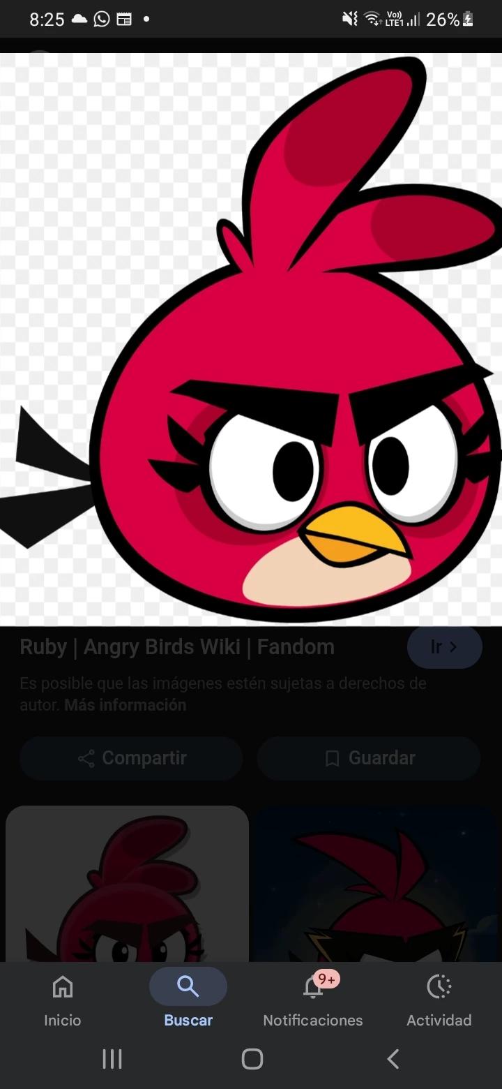 Ruby thumbnail