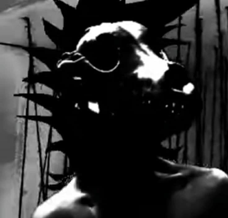 - DOGTOOTH - BOISVERT -  thumbnail