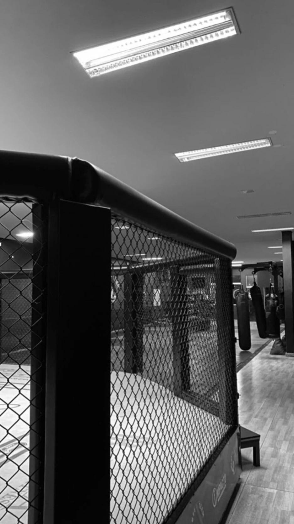 MMA friends.  thumbnail