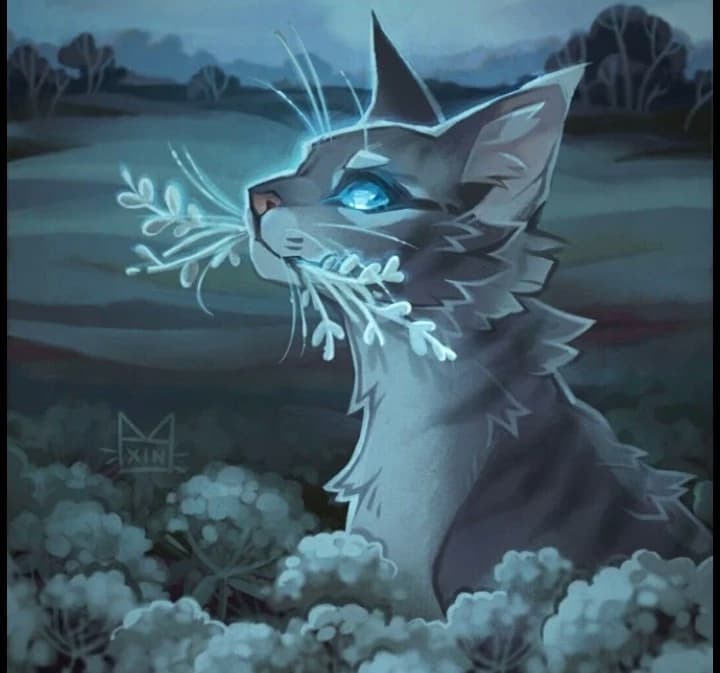 JAYFEATHER thumbnail