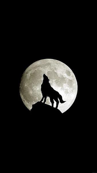 Lycan thumbnail