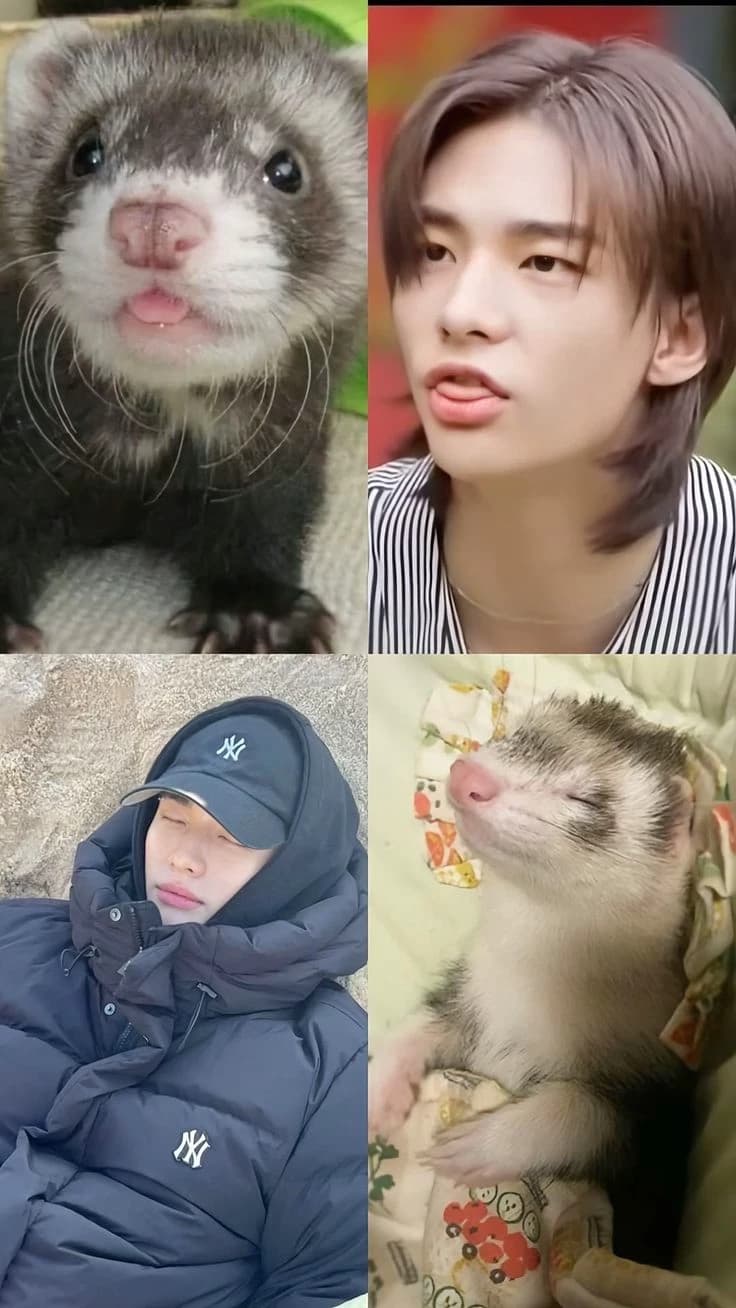 Hyunjin thumbnail