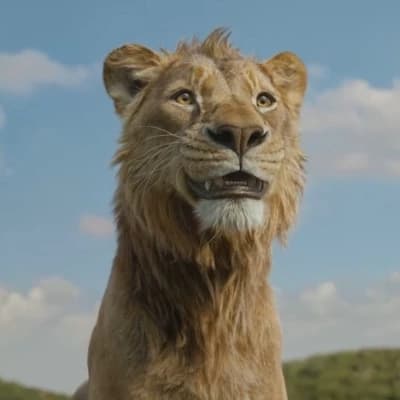 Young Mufasa thumbnail