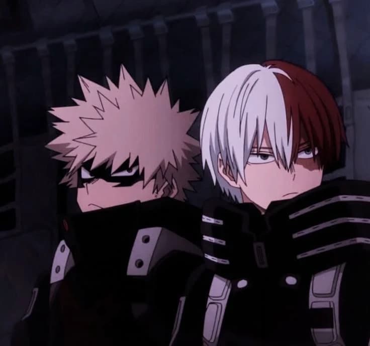 Katsuki Bakugo y Shoto Todoroki. thumbnail