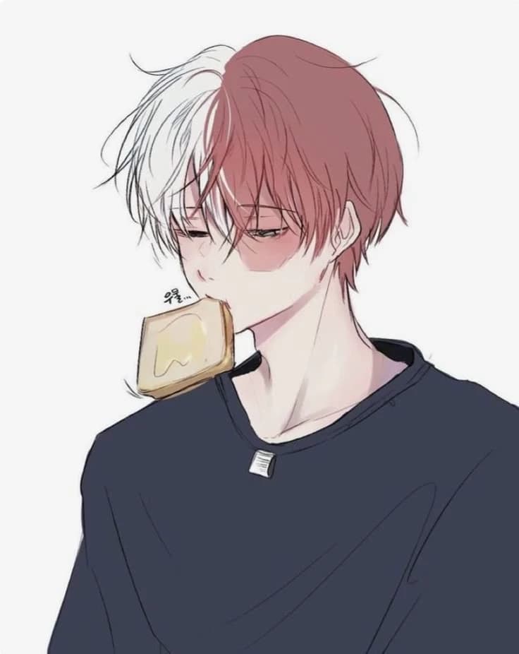 Shoto Todoroki  thumbnail