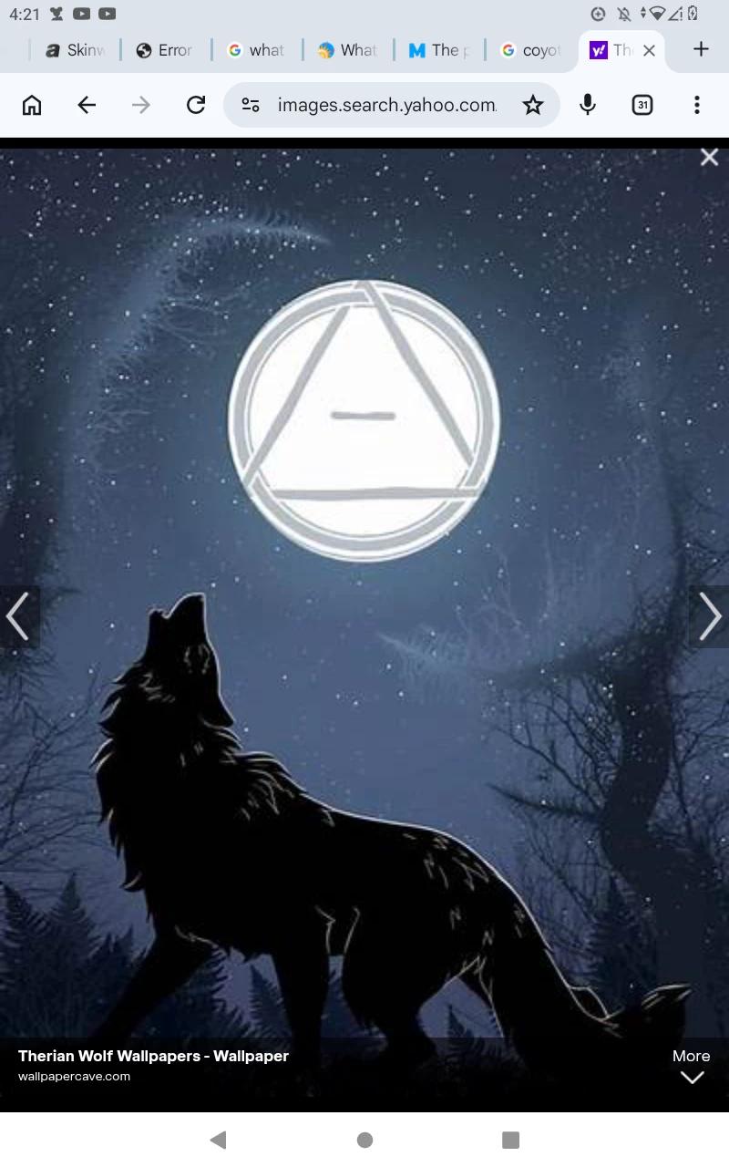Wolfe  thumbnail